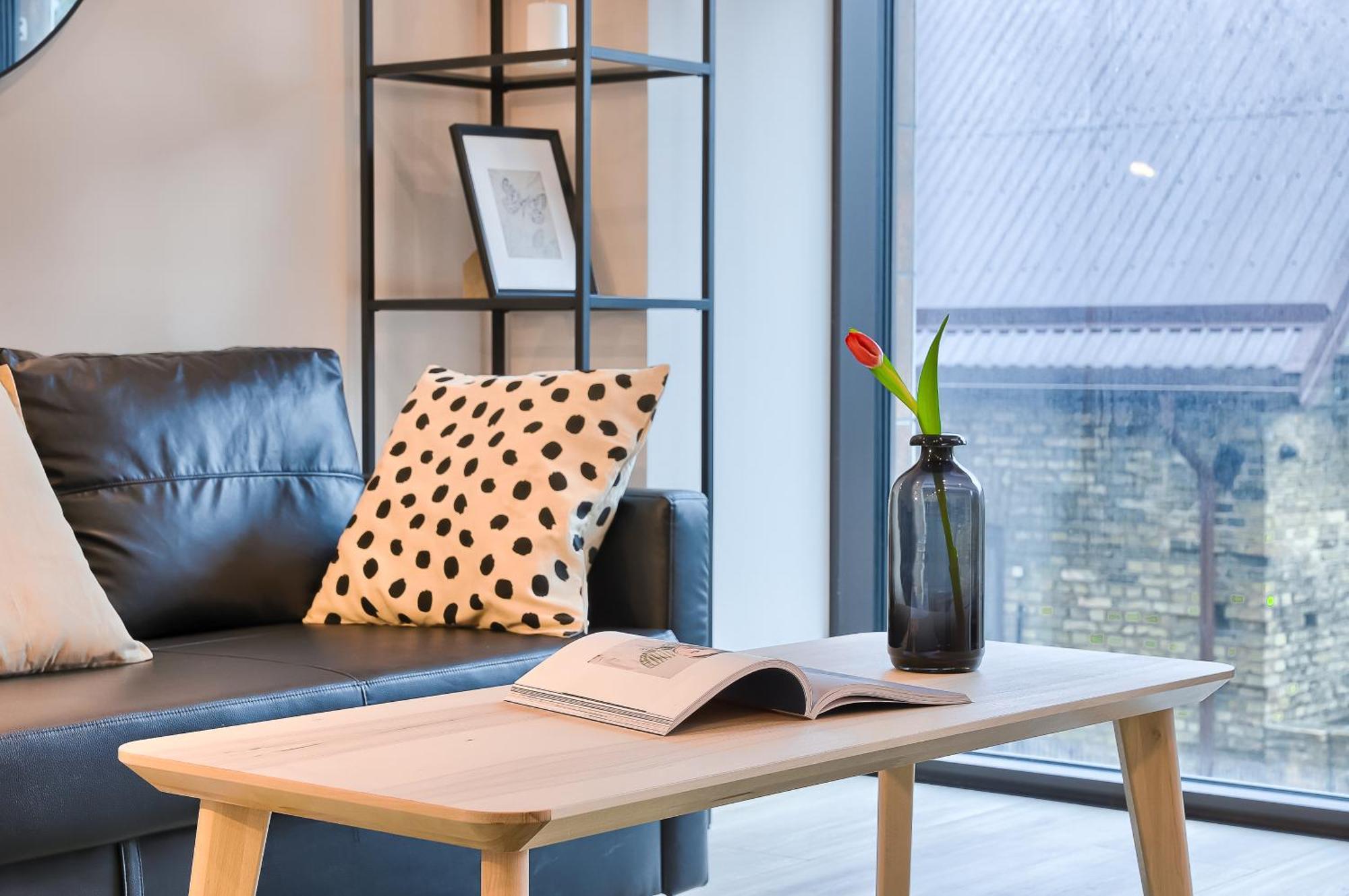 Business-Class Apartments 2 X Free Parking X Self Check In 24X7 VNO Exterior foto